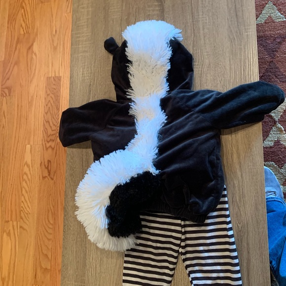 target baby skunk costume